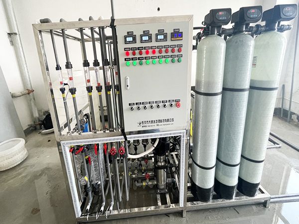 安徽0.5吨反渗透+EDI超纯水设备